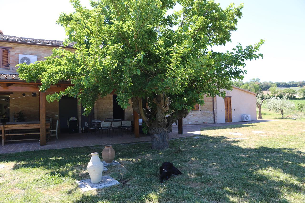 Casale Talevi Villa Cartoceto Exteriör bild